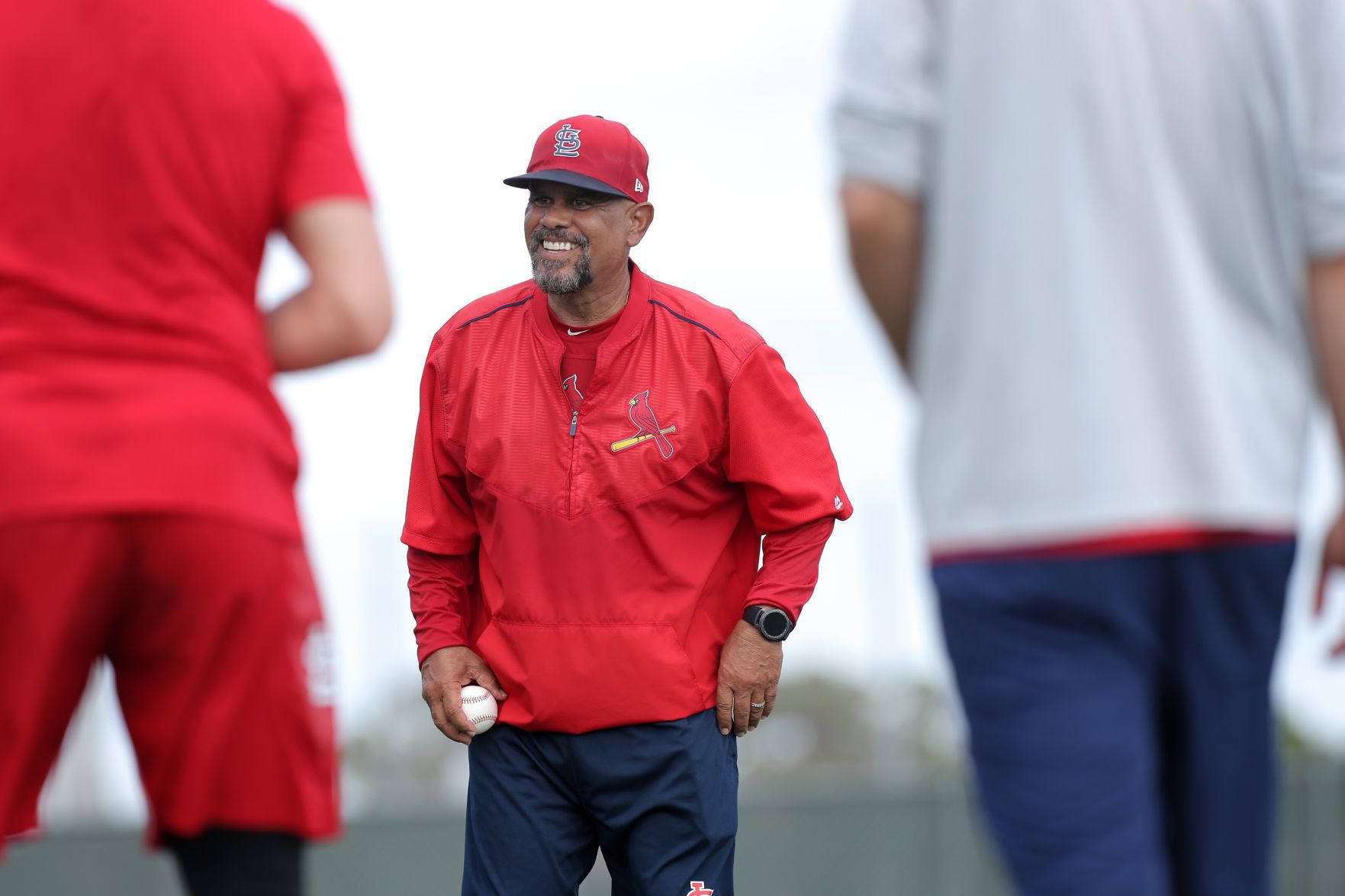 Cardinals spring training